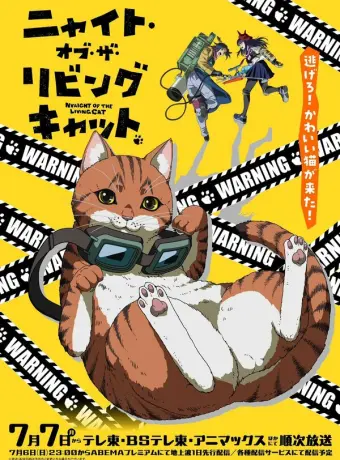 Ночь живых кошаков